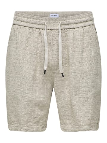 ONLY & SONS Shorts in Silver Lining