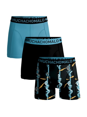 Muchachomalo 3er-Set: Boxershorts in Multicolor