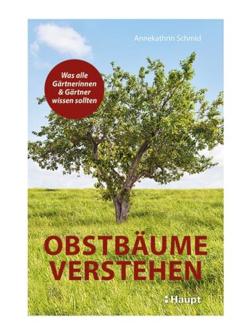 Haupt Obstbäume verstehen