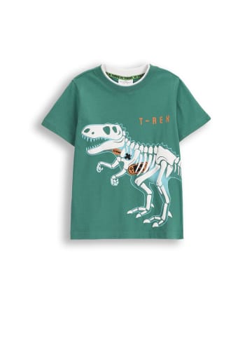 Coccodrillo T-Shirt mit kurzen Ärmeln in grün