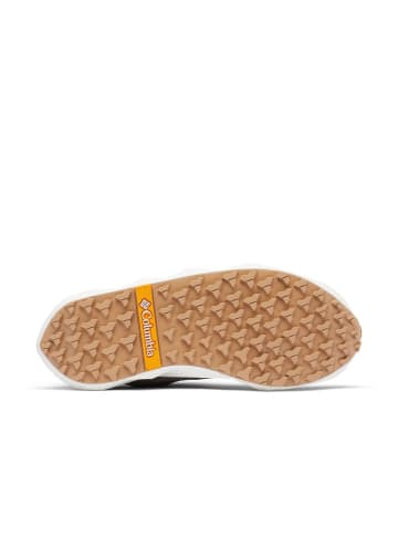 Columbia Sneaker Facet in Grau