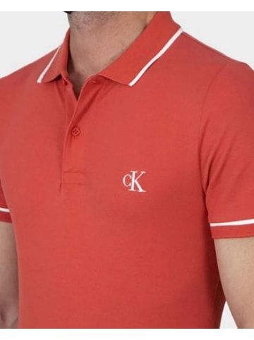 Calvin Klein Polo in bunt