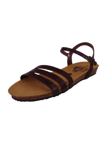 Plakton Sandalen braun