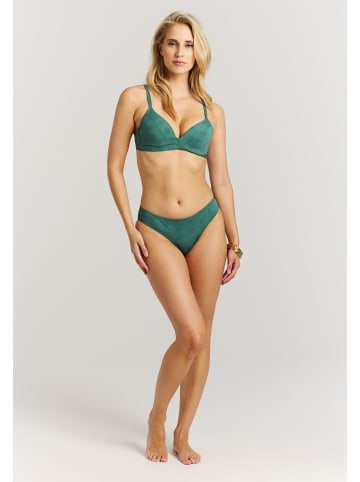 Protest " PRTGlazy in Laurelgreen