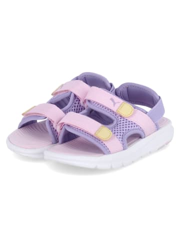 Puma Sandalen EVOLVE SANDAL PC in Violett