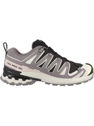 SALOMON Laufschuhe XA PRO 3D V9 GTX in schwarz