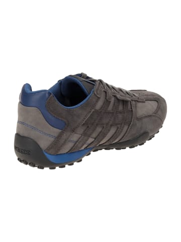 Geox Komfort Schnürschuhe in Grau