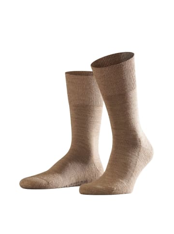 Falke Socken 1er Pack in Beige