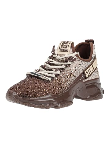 Steve Madden Sneaker MISTICA in Taupe/Braun