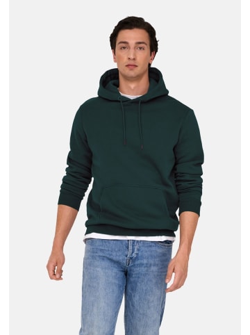 Only&Sons Hoodie 'Ceres' in grün