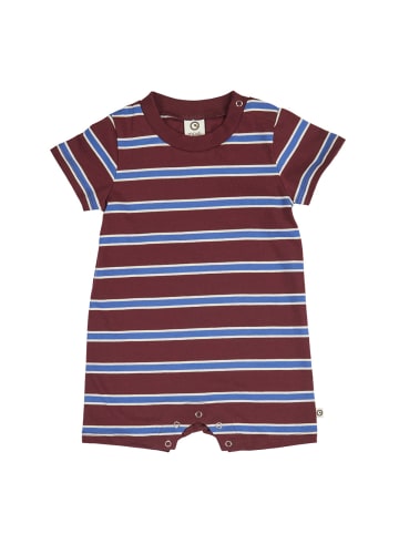 müsli Spieler in Russet/ Azure blue/ Tofu