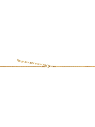 Adeliás Unisex Halskette – Schlangenkette aus Edelstahl in gold