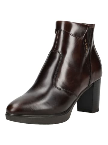 Nero Giardini Stiefelette in Dunkelbraun