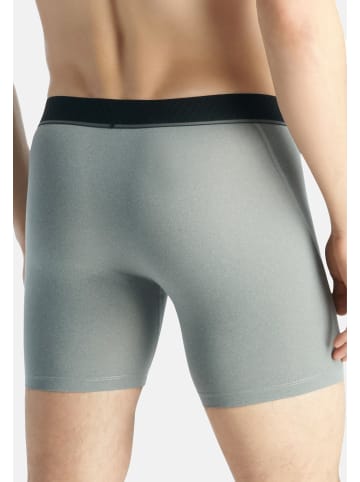 Adidas Sportswear Long Short / Pant Active Micro Flex in Mehrfarbig