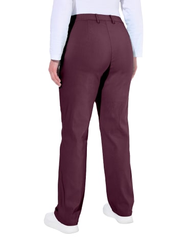 Ulla Popken Hosen in aubergine
