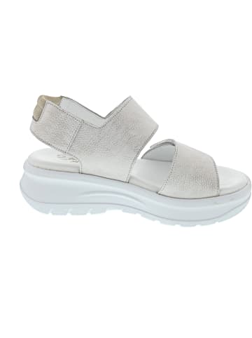 PANAMA JACK Sandale Beige