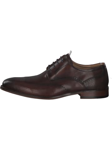 DIGEL Klassische- & Business Schuhe in Brown