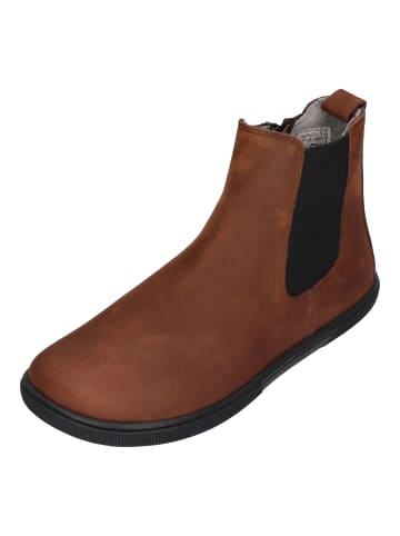 KOEL Chelsea Boots FILAS MERINO in braun