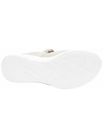 Ganter Freizeit Schnürer für Damen in grau