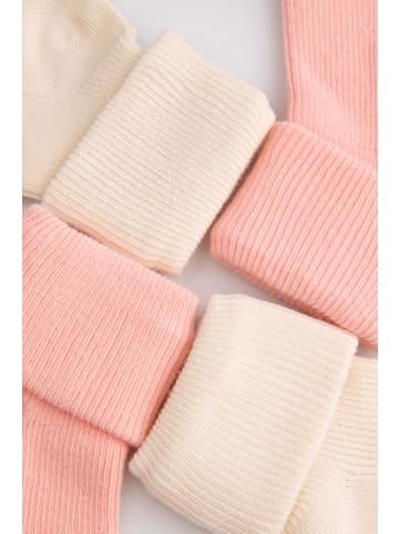 Coccodrillo Socken in bunt