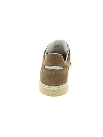 Sioux Tedroso 704 Sneaker Braun