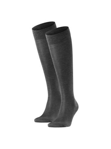 Falke Socken 2er Pack in Anthrazit
