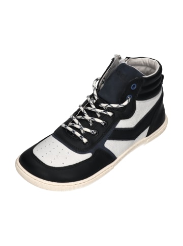 KOEL Sneaker High DANISH NAPPA 08M028.121 in bunt