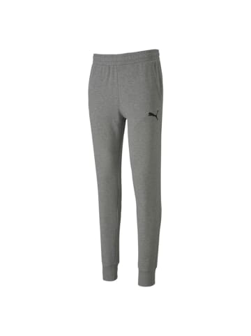 Puma Jogginghose teamGOAL 23 Casuals Pants in grau