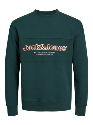 JACK & JONES Junior Sweatshirt in magical forest