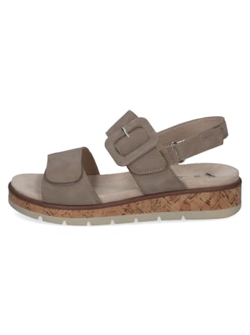 Caprice Sandalen in taupe suede