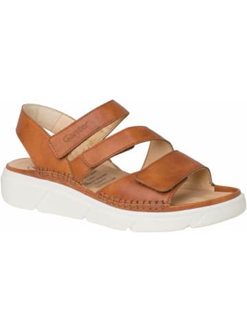Ganter Riemchen Sandalen für Damen in cognac