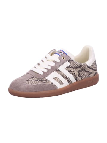 Damen- Schnürschuhe CLOUD in Beige