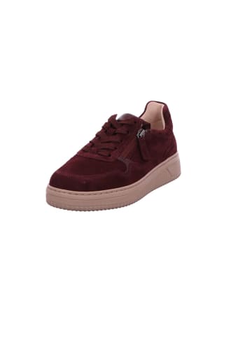 Gabor Sneaker Low in bordo