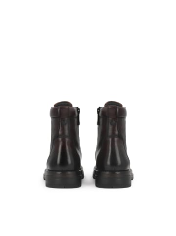 Kazar Chelsea Boots in Braun