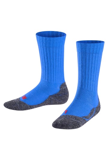 Falke Socken 1er Pack in Blau