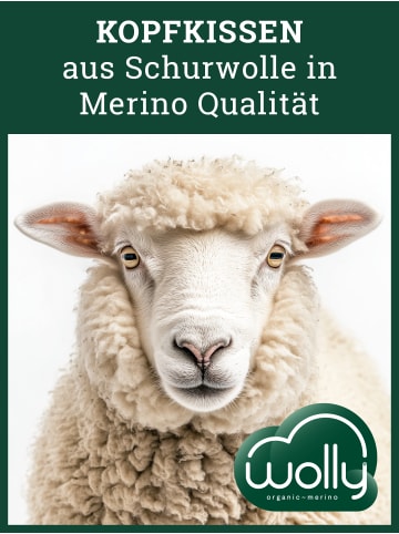 wolly MYWOOL Kopfkissen ''MEDIUM'' in Naturweiß
