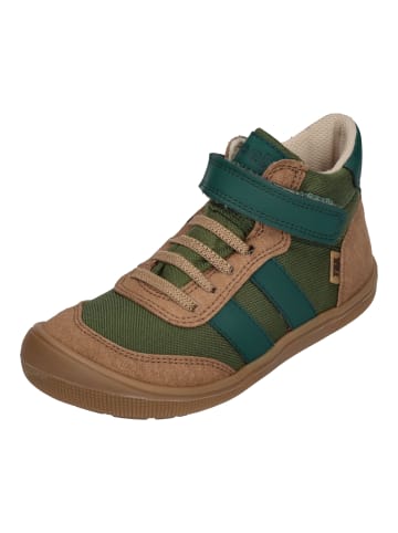 KOEL Sneaker High Daniel Vegan Tex in bunt