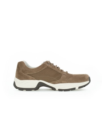 Pius Gabor Sneaker low in beige