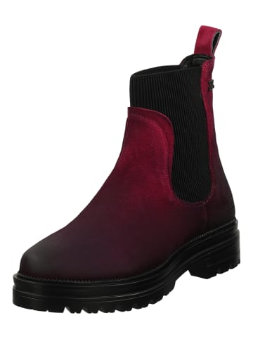 Lazamani Stiefelette in Fuchsia