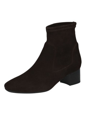 PETER KAISER Stiefelette in Dunkelbraun