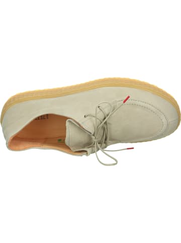 Think! Sneakers Low HONEY in Panna