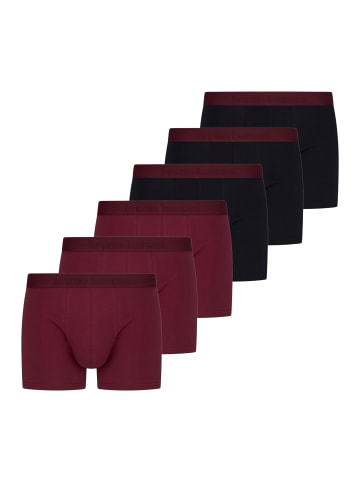 Bruno Banani Retro Short / Pant Flowing in Schwarz / dunkelrot