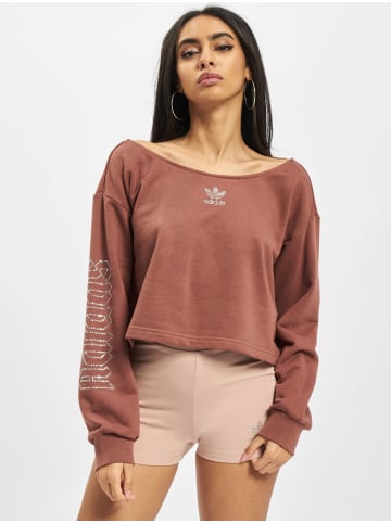 Adidas originals Adidas originals Hoodie in brown