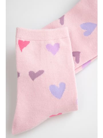 Coccodrillo Socken in bunt