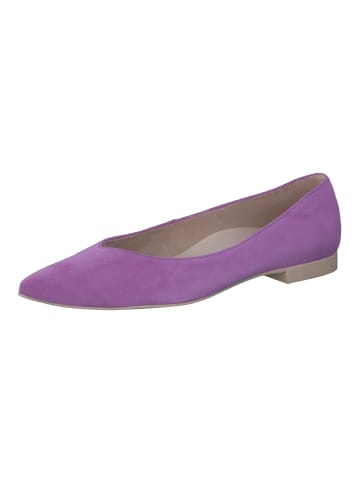 Paul Green Ballerinas in Violett