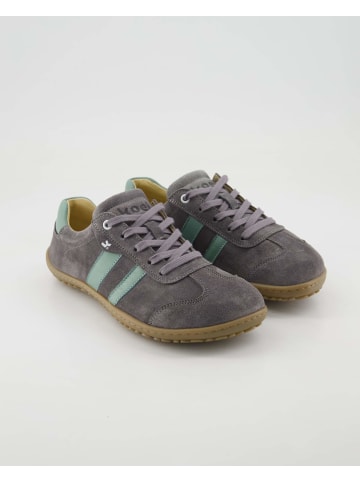 KOEL Sportliche Schnürschuhe in Grau