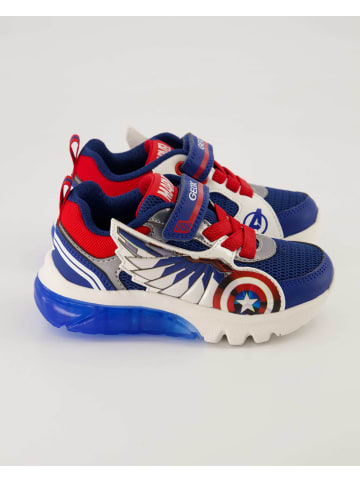 Geox Klettschuhe in Blau