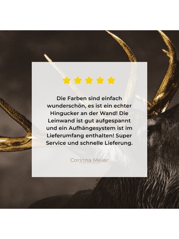 MuchoWow Leinwand bilder Hirsch (BxH)