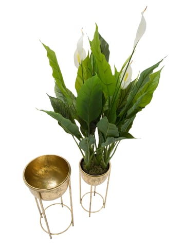 Mauro Ferretti Set aus 2 goldenen Metall-Pflanztöpfen mit Sockel Ø cm 27x62-21,5x52