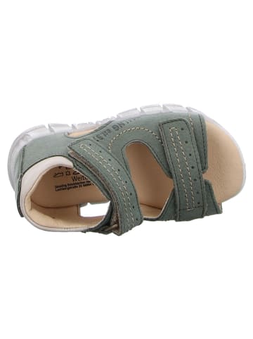 Däumling Sandalen für Jungen in grün